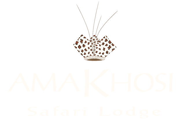 Amakhosi Safari Lodge